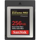 SanDisk 256GB Extreme PRO CFexpress Card Type B (SDCFE-256G-GN4NN)