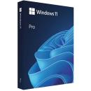 Microsoft Windows 11 Pro 64-bit FPP Eng Intl USB (HAV-00163)