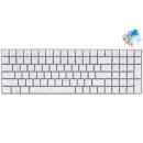 Royal Kludge RK100 RGB Hot-Swappable Mechanical Gaming Keyboard Blue Switch White (EN/TH)