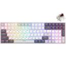 Royal Kludge RK100 RGB Hot-Swappable Mechanical Gaming Keyboard Brown Switch White/Night (EN/TH)